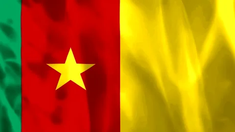 Waving flag of Cameroon with green red and yellow fabric texture and centra.. Video stock 343582345