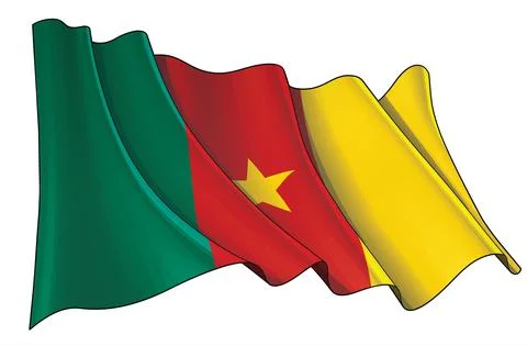 Waving Flag of Cameroon Stock Illustration