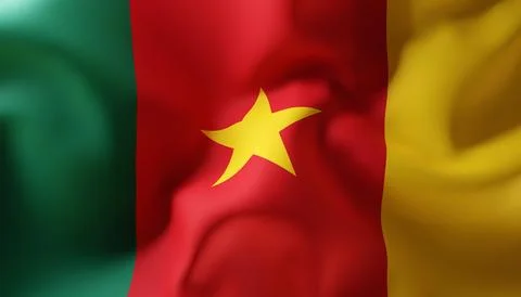 Waving flag of Cameroon Stock Illustration