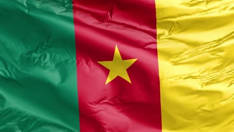 Waving flag of Cameroon Republic. Loop Stock Footage 232724211
