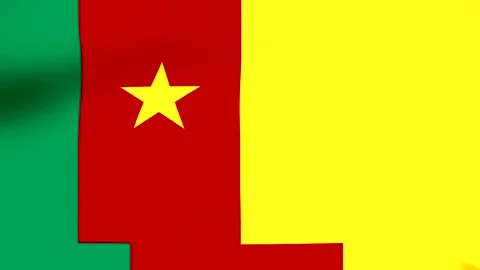 Waving flag of Cameroon with vertical green red and yellow stripes and a ye.. Stock Footage 346545903
