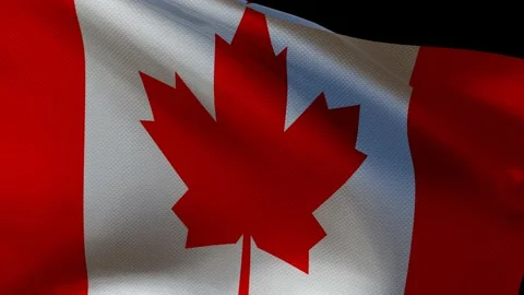 The waving flag of Canada on a black screen. Stock Footage 219236099