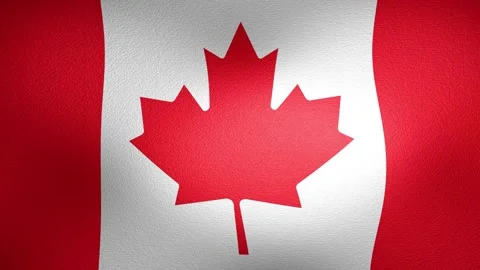 Waving flag of Canada with maple leaf Stock Footage 340038821