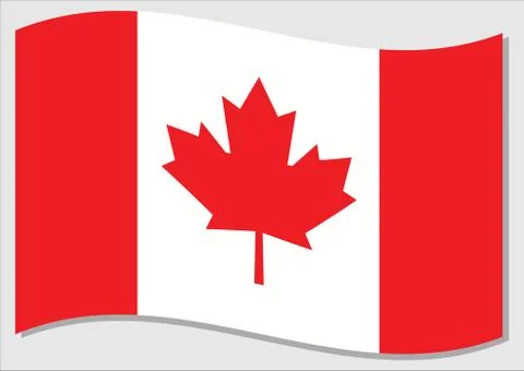 Waving flag of Canada vector graphic. Waving Canadian flag illustration. Cana Stock Illustration