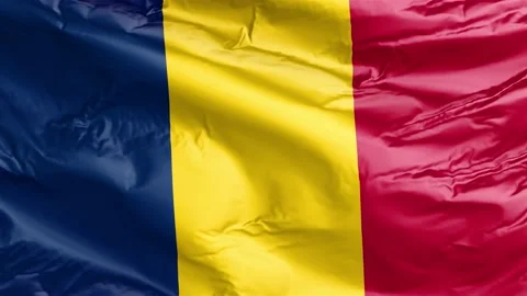 Waving flag of Chad Republic. Loop Stock Footage 232724238