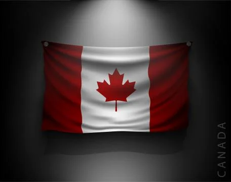 Waving flag on a dark wall with a spotlight, illuminated Stock Illustration