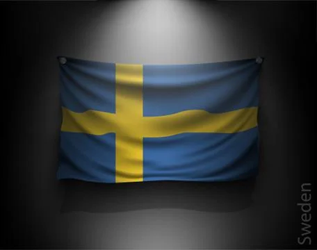 Waving flag on a dark wall with a spotlight, illuminated Stock Illustration