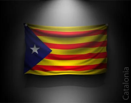 Waving flag on a dark wall with a spotlight, illuminated Stock Illustration