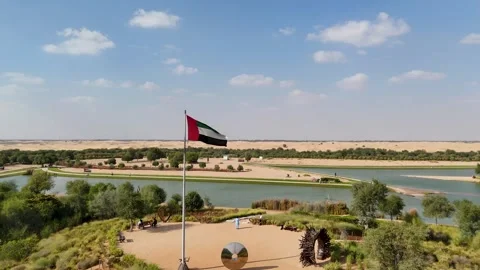 Waving flag drone Stock Footage 326420802