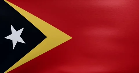 Waving flag of East Timor	 Stock-Footage 318976773