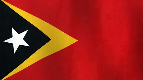 Waving flag of East Timor Stock Footage 340523239