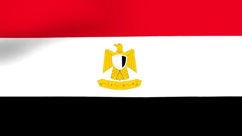 Waving flag of Egypt with horizontal red white and black stripes and a cent.. 스톡 동영상 346545944