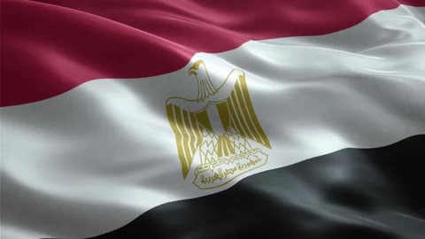Waving Flag of Egypt Seamless Loop, Close-up, 1080p HD Stock Footage 321369667