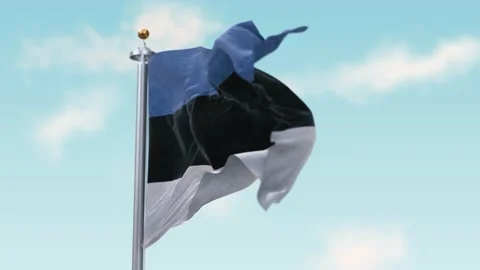 Waving Flag of Estonia in Wind . Flag Seamless Loop Estonia. Stock Footage 150999087