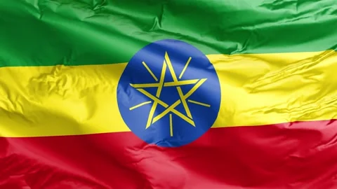 Waving flag of Ethiopia Republic. Loop Stock Footage 232724454