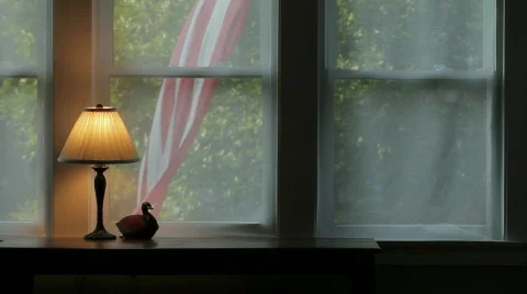 Waving Flag Stock Footage