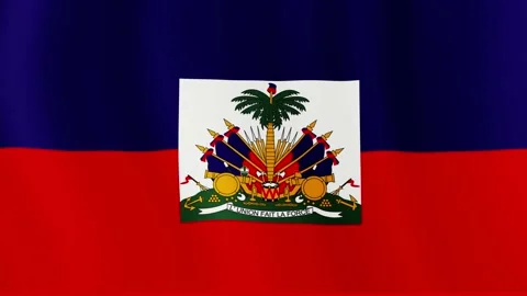 Waving flag Stock Footage 161935647