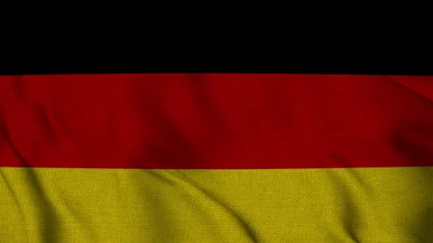 Waving Flag of Germany in 4K Resolution – Realistic Fabric Texture 스톡 동영상 320468454