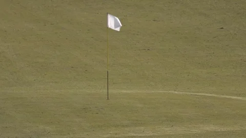 Waving flag on green at a golf course Video stock 74137772