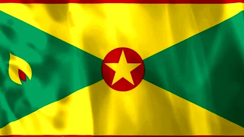 Waving flag of Grenada with fabric texture and ripples effect Video stock 343582639