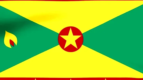 Waving flag of Grenada with yellow green and red colors and a central golde.. Stock Footage 346545973