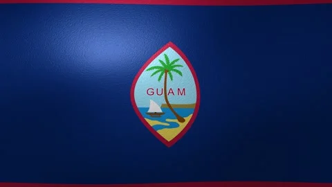 Waving flag of Guam blowing in the wind Stock Footage 345424326
