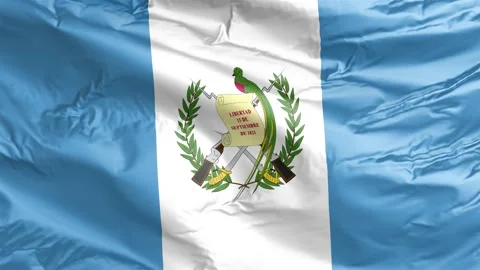 Waving flag of Guatemala Republic. Loop Stock Footage 232724565