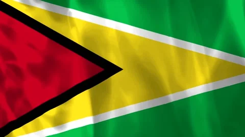 Waving flag of Guyana featuring vibrant green red yellow black and white colo Video stock 343582676