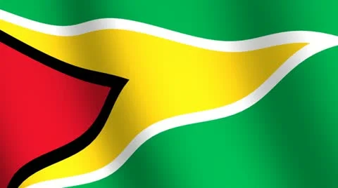 Waving flag   of Guyana Stock Footage 12236584
