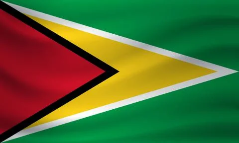 Waving flag of Guyana. Vector illustration Stock-Illustration