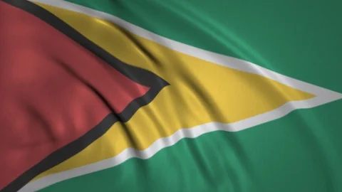Waving Flag of Guyana in the Wind Stock Footage 97757879
