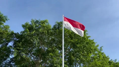 Waving flag of indonesia on flagpole Stock Footage 301303433