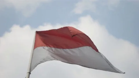 Waving Flag of Indonesia Stock Footage 80049464