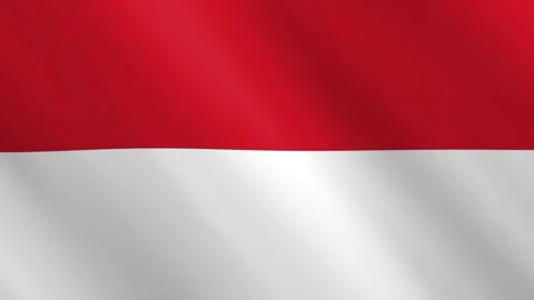 Waving flag of Indonesia.  Stock-Footage 316970104