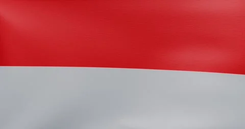 	 waving flag of Indonesia	 Video stock 318976047