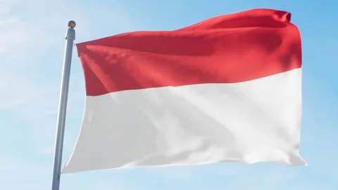 Waving Flag Of Indonesia Loop Stock Footage 127317245