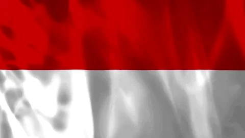 Waving flag of Indonesia with silk texture and realistic folds fluttering i.. Vídeo Stock 343582760