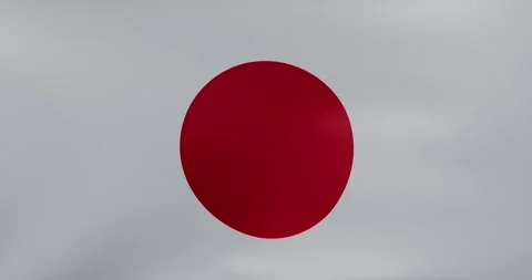 Waving flag of Japan	 Stock Footage 318977062