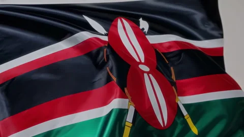 Waving Flag of Kenya featuring its emblem alongside vibrant colors that 스톡 동영상 305830999