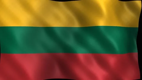 Waving flag of lithuania with silky fabric texture. 4K Vídeos de archivo 344047092