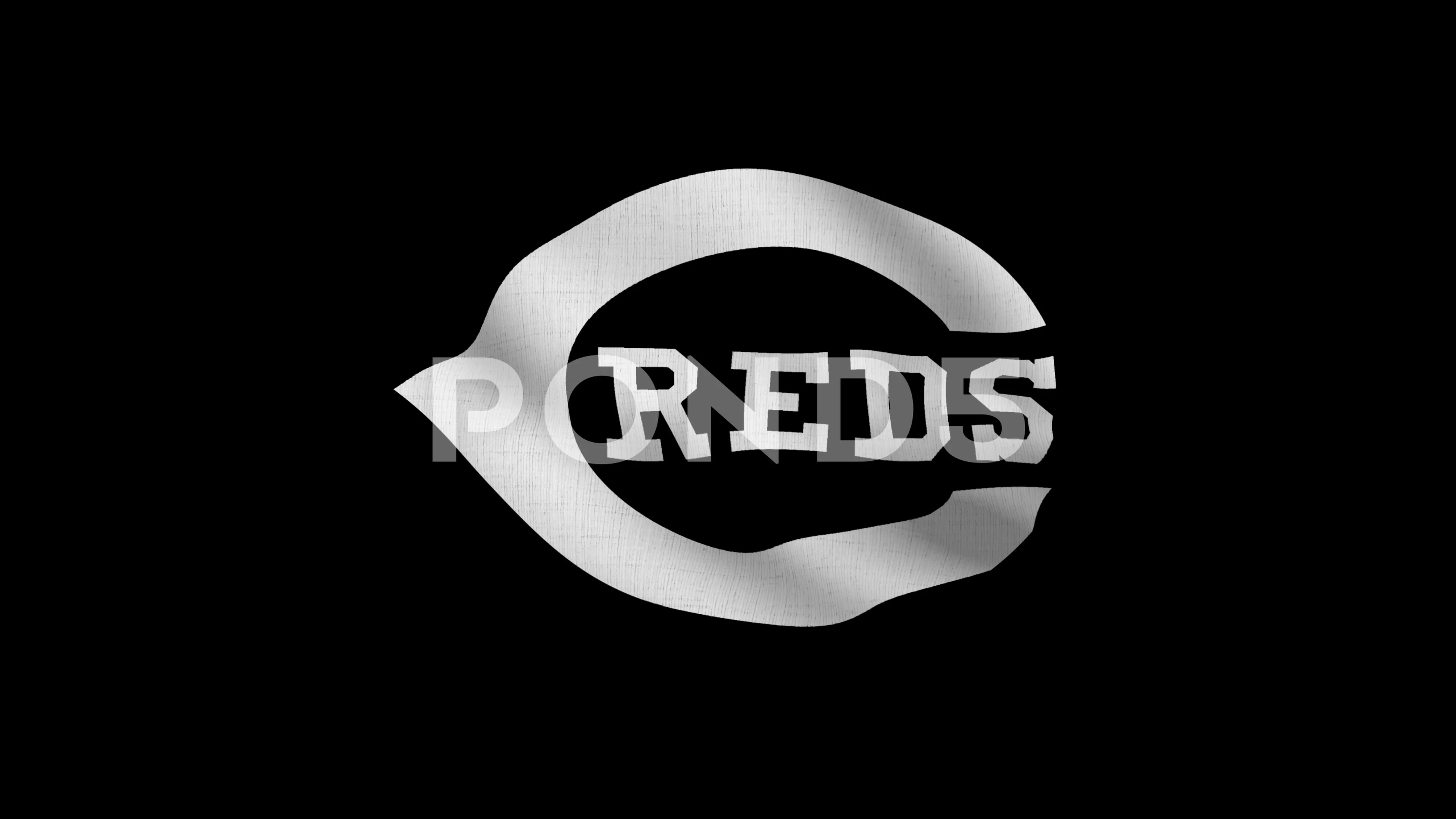 Cincinnati Reds flag, american professio, Stock Video