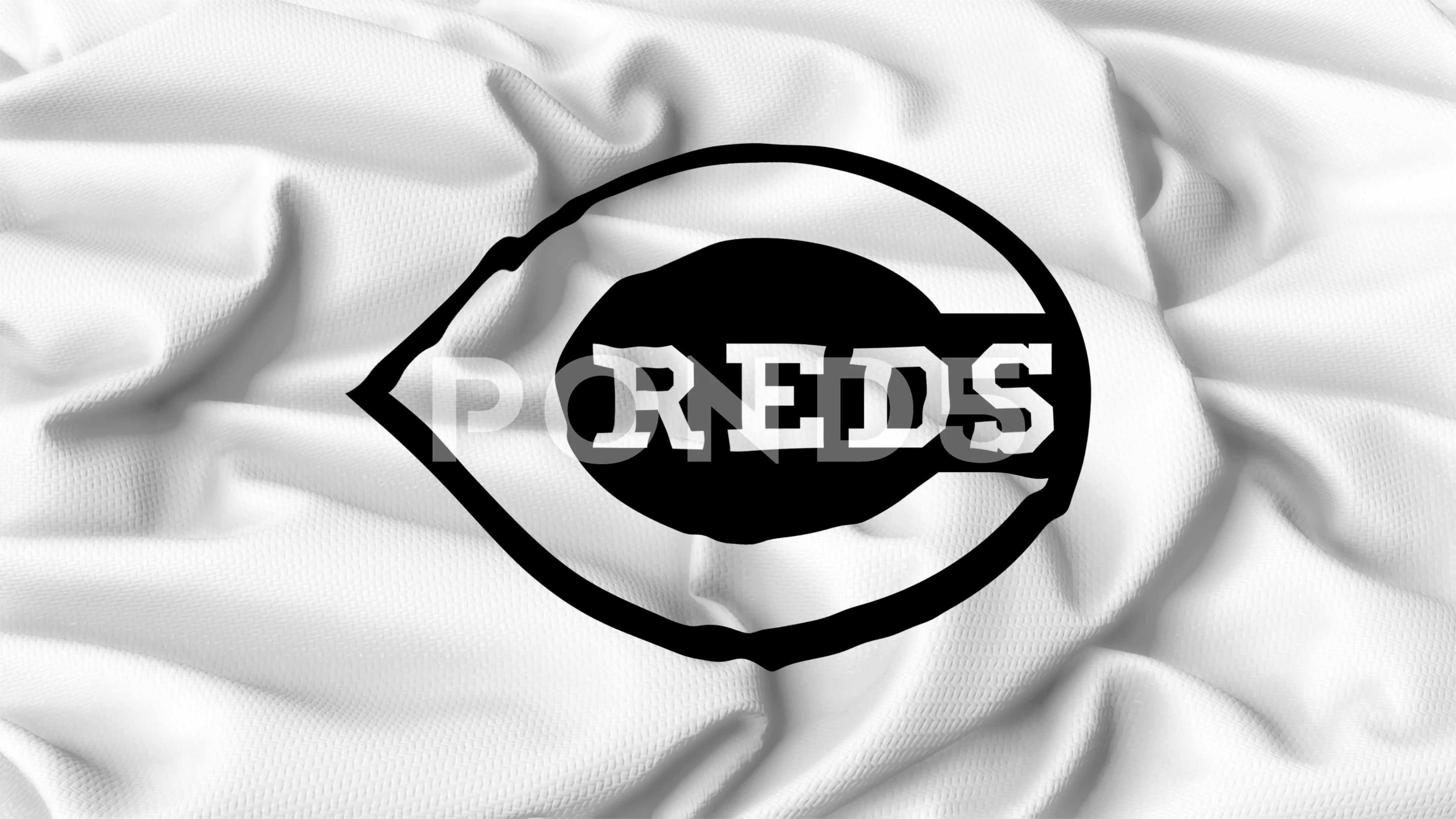 Cincinnati Reds flag, american professio, Stock Video