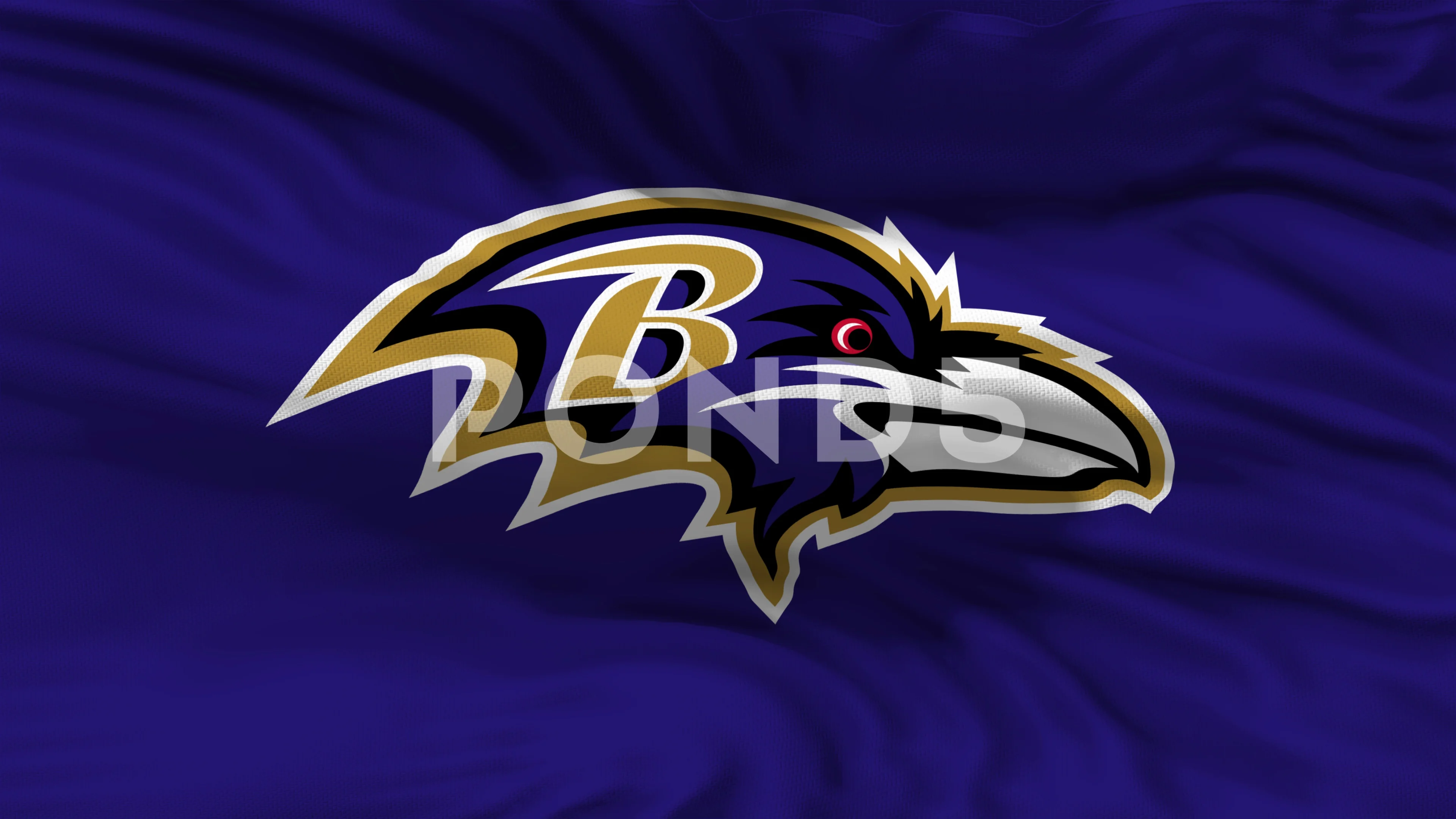 Baltimore Ravens flag, american football, Stock Video