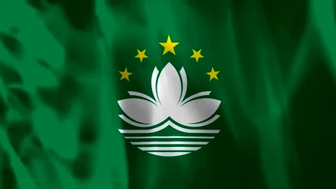 Waving flag of Macau with official green background and white lotus flower .. Stock Footage 343582986
