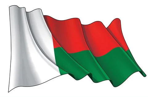 Waving Flag of Madagascar Stock Illustration