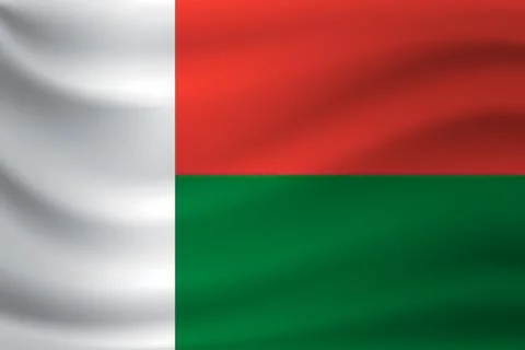 Waving flag of Madagascar. Vector illustration Stock-Illustration