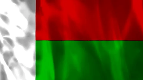 Waving flag of Madagascar with white red and green fabric textures Video stock 343582990