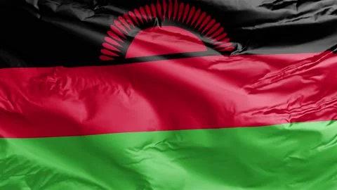 Waving flag of Malawi Republic. Loop Stock Footage 232724804