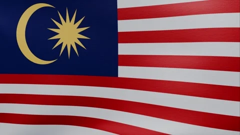 Waving flag of Malaysia	 Stock Footage 318976061