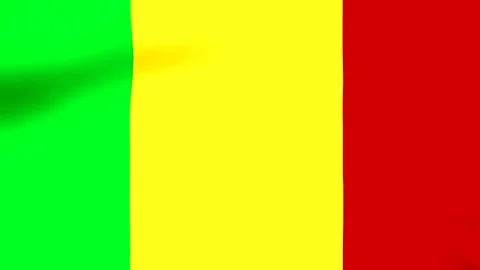Waving flag of Mali featuring vertical green yellow and red color stripes 스톡 동영상 346546070